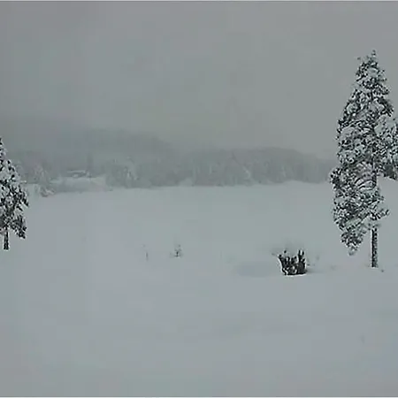 펜션 Froland Vagsdalsfjorden Mykland