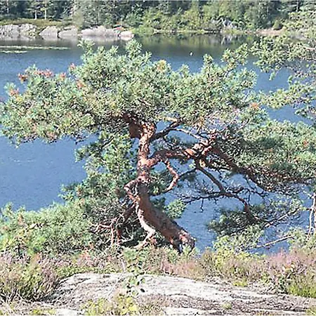 Froland Vagsdalsfjorden