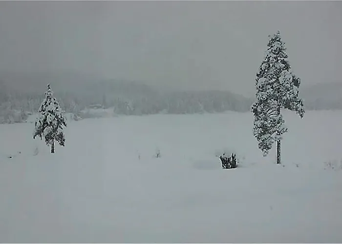 Semesterbostad Froland Vagsdalsfjorden Mykland
