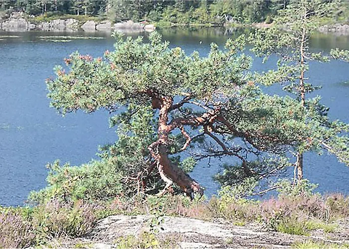 Froland Vagsdalsfjorden